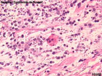corpRus.jpg (97447 bytes)